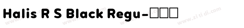 Halis R S Black Regu字体转换